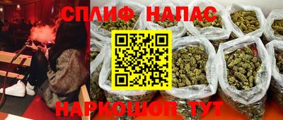 сатива Новозыбков