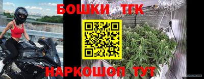 сатива Новозыбков