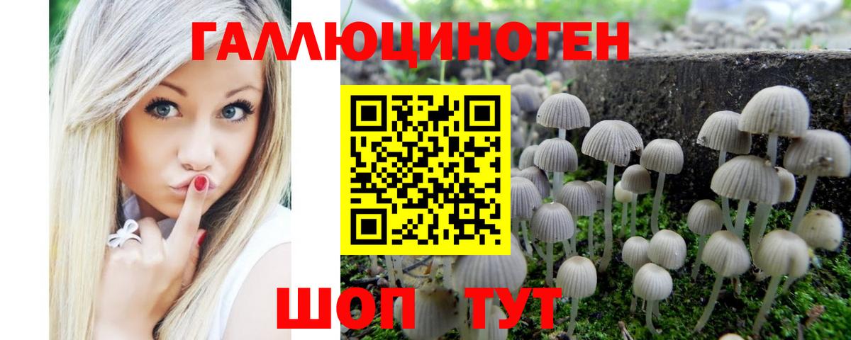 Северобайкальск  Псилоцибиновые грибы прущие грибы  Вход с VPN 